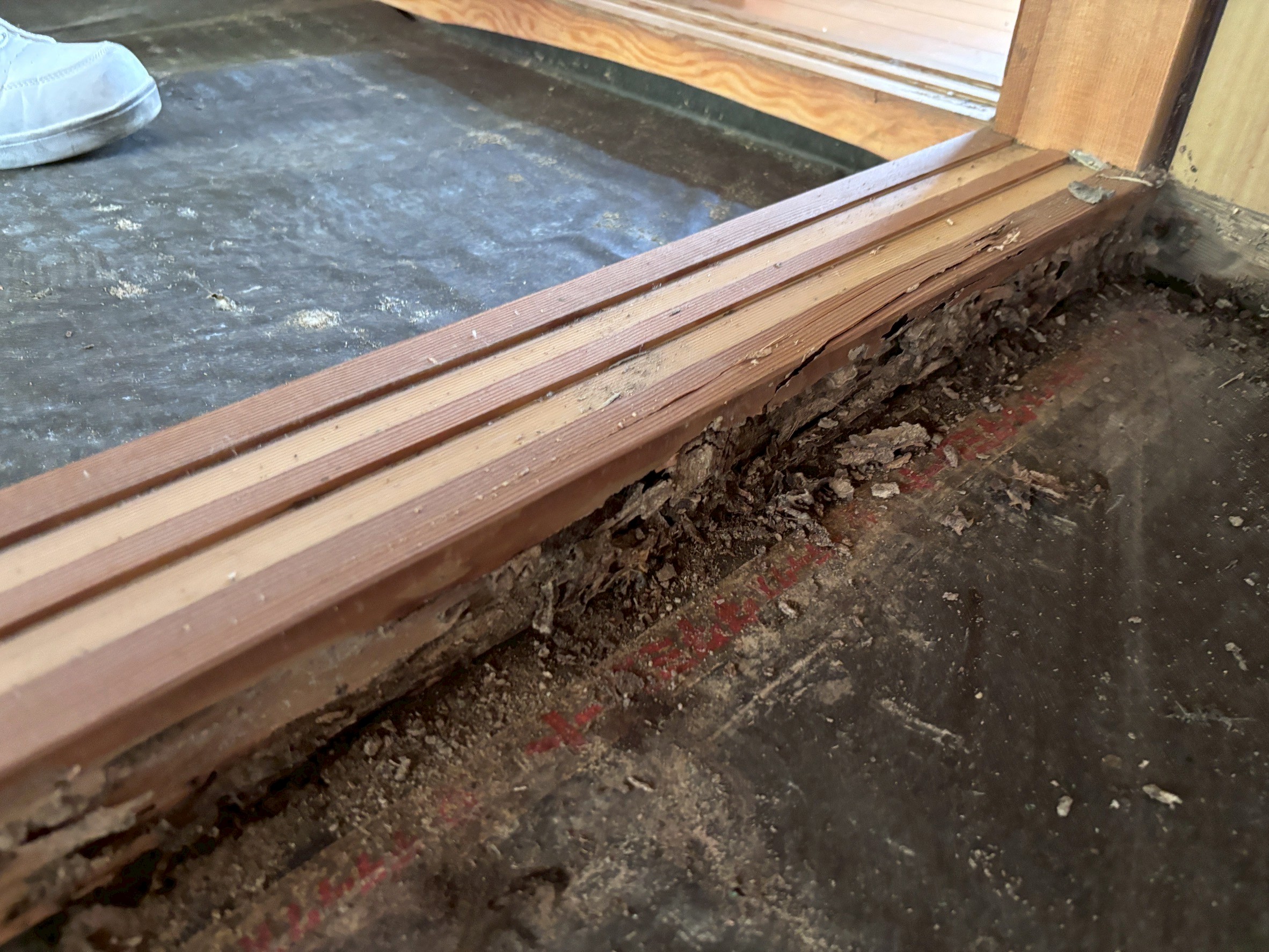 Termite damage