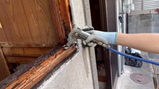 termite treatment